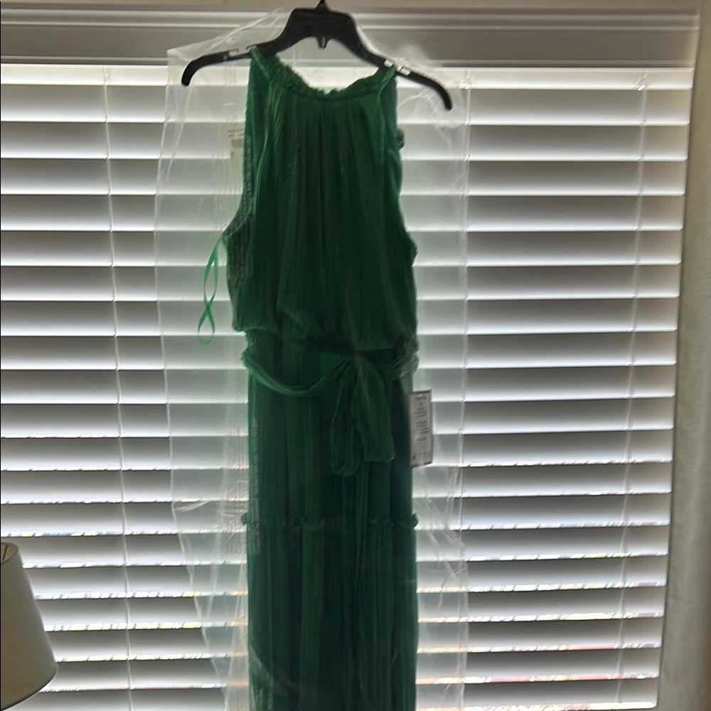 Betsy & Adam Vibrant Green Maxi Dress